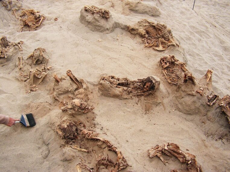 Ve vlasech mumií byly nalezeny stopy omamných látek.