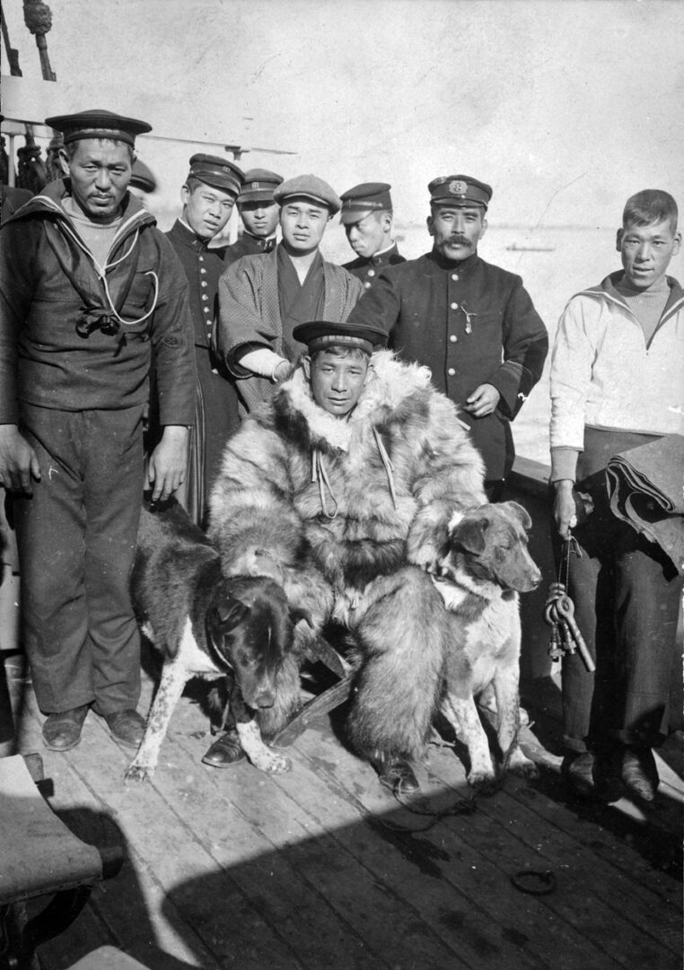 Členové expedice vzali s sebou na loď i tažné psy.