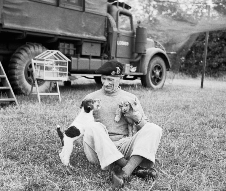 Bernard L. Montgomery jeho psi - foxteriér Hitler a kokršpaněl Rommel.