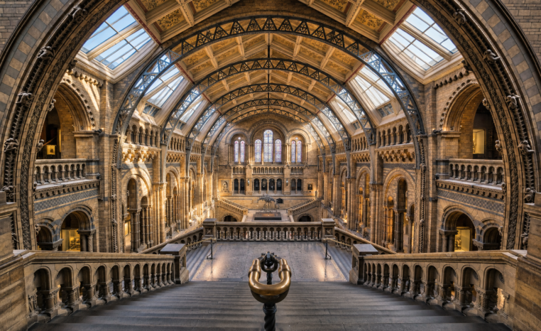 Proměnil architekt londýnské muzeum v katedrálu přírody?